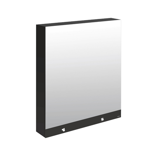 DELABIE 510208 3-in-1 mirror cabinet 800 mm soap, hand dryer