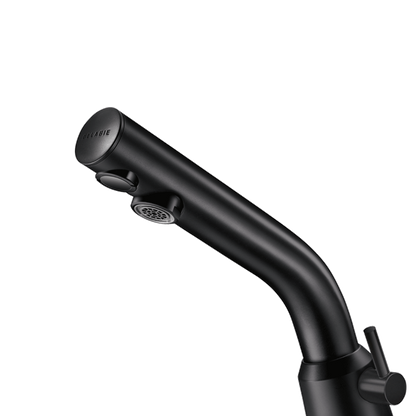 DELABIE 378MCHB electronic mixer tap H 110 mm mains powered