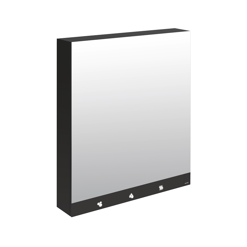 DELABIE 510204 4-in-1 mirrored cabinet 800 mm tap, soap dispenser and hand dryer