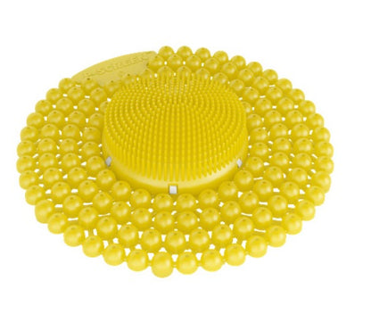 VECTAIR P-SCREEN CITRUS MANGO 6 pieces