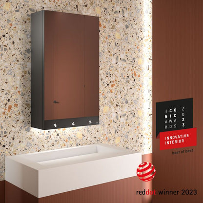 DELABIE 510204 4-in-1 mirrored cabinet 800 mm tap, soap dispenser and hand dryer