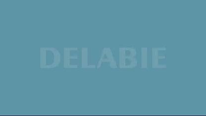 DELABIE 493516