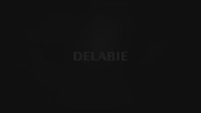 DELABIE 510204 4-in-1 mirrored cabinet 800 mm tap, soap dispenser and hand dryer